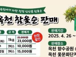 옥천군 이번 주, 옥천 참옻순 본격 수확 기사 이미지