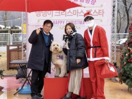 여행·출장 때 반려동물 맡기세요! 마포구, '우리동네 펫위탁소' 운영 기사 이미지