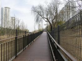 막혔던 공간, 길로 열리다!..마포구, 우리가족의 숲 무장애 산책로 조성 기사 이미지