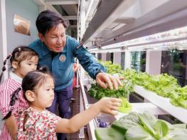 옥상에서 농부가 되어보세요! 마포구, 스마트팜 4개소 준공