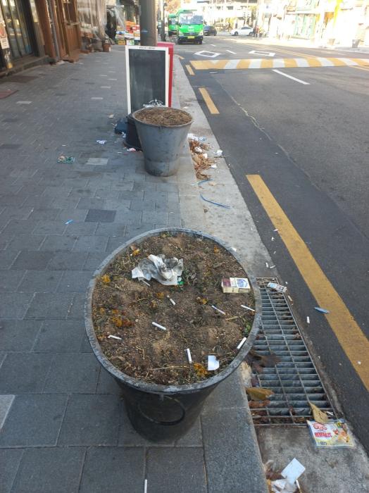 가로수 식재보다는 도로 청소가 더 우선되어야 하는 것 아닌가