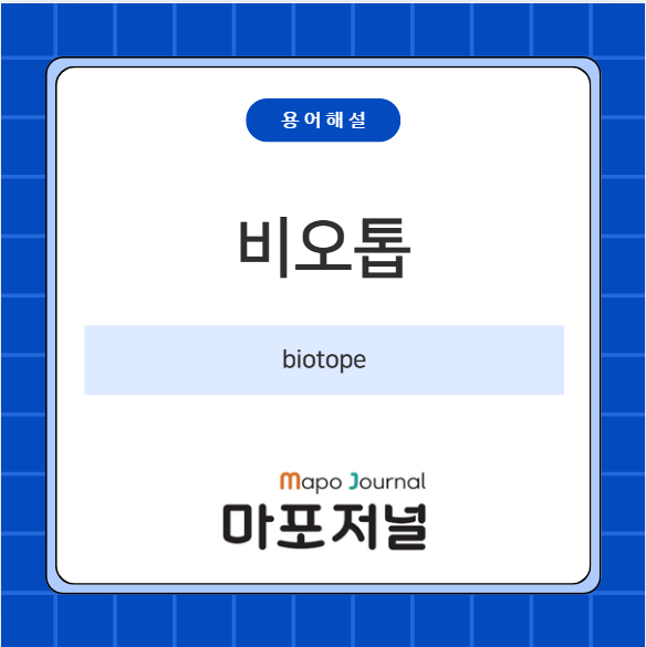 비오톱 (Biotope) 기사 이미지