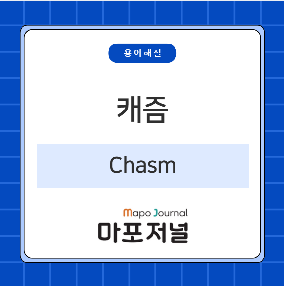 캐즘(Chasm) 기사 이미지