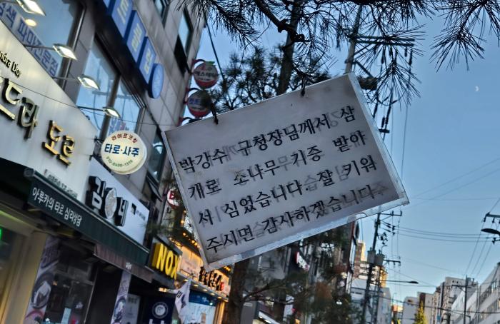 삼개로의 소나무에는 구청장에 대한 감사 문구가 게시되어있다 