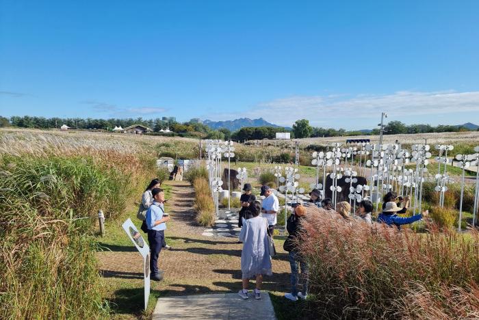 죽은 땅’에서 ‘생명의 숲’으로: 난지도와 대곡매립지, 환경 재생의 두 얼굴 기사 이미지