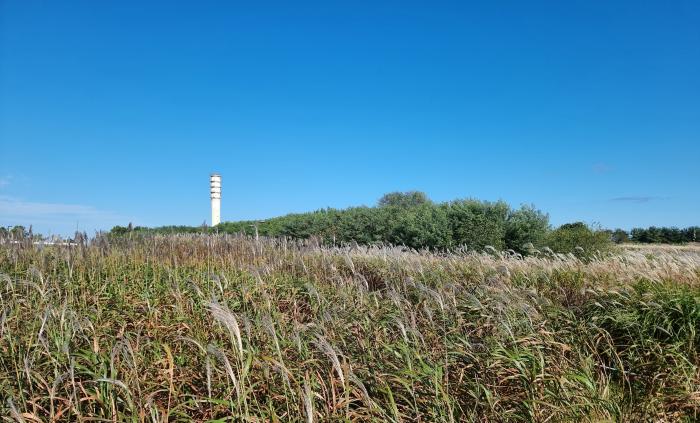 멀리보이는 소각장 굴뚝으로 이 곳이 쓰레기 매립지였다는 것을 알려준다