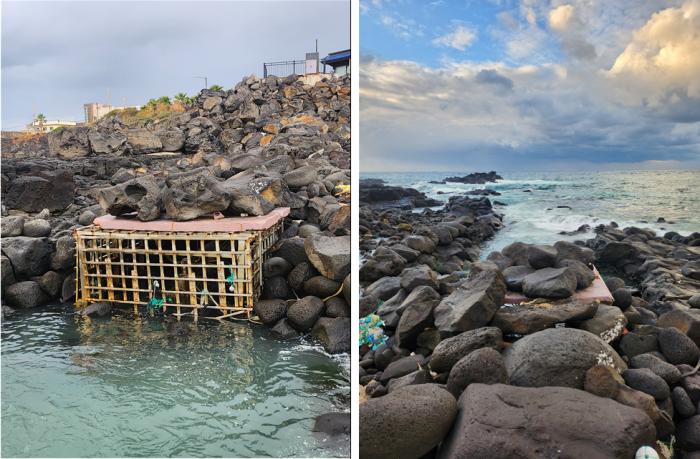 출처 제주도청 홈페이지