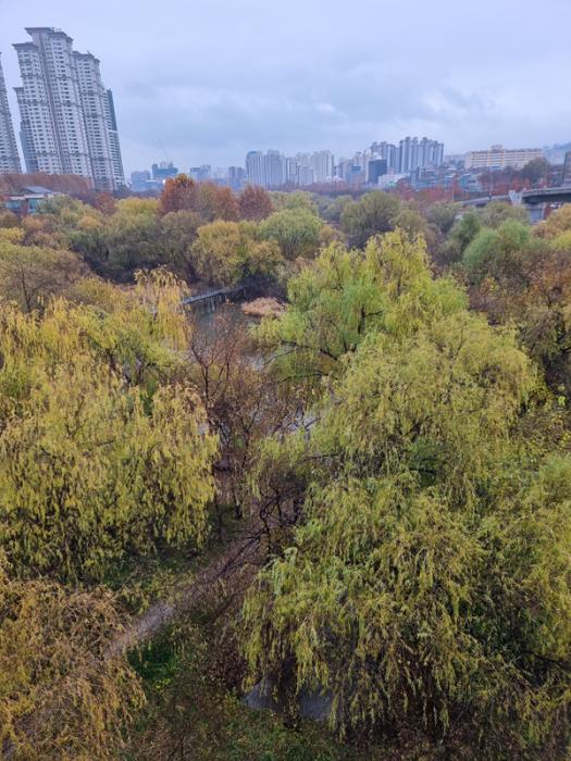 한쪽은 고층건물 숲 다른쪽은 자동차도로 그 사이에 샛강이 자리 잡고 있다