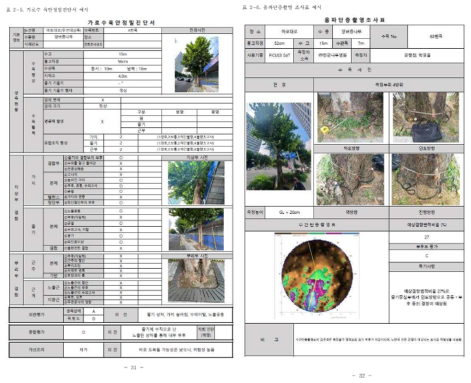 안전용역 보고서의 예시이다 이렇게 꼼꼼하게 나무별로 보고서가 작성되었을 것이라고 예상할 수 있다
