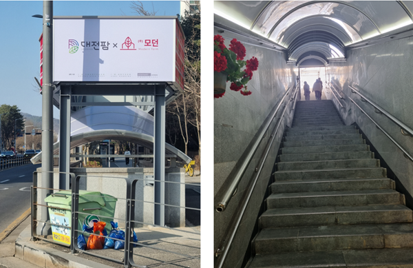 스마트팜 입구와 깊은 계단을 보면 이곳이 지하보도라는 것을 알 수 있다