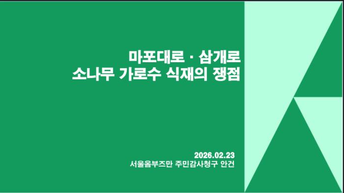 서울시 옴부즈만, 마포구 '소나무 가로수' 현장 실사... 기부 대가성 및 부실 생육 의혹 집중 제기 기사 이미지