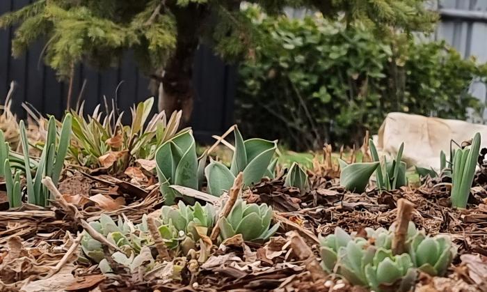 2026 마포의 봄 기사 이미지