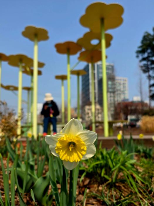 “주민· 마을정원사가 함께 만드는 녹색 마포”…제81회 식목일 ‘릴레이 정원만들기’ 개최 기사 이미지