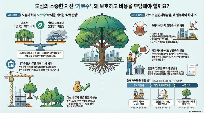 “심어도 못 살린다”…도심 가로수, 왜 ‘재활용’이 안 되나