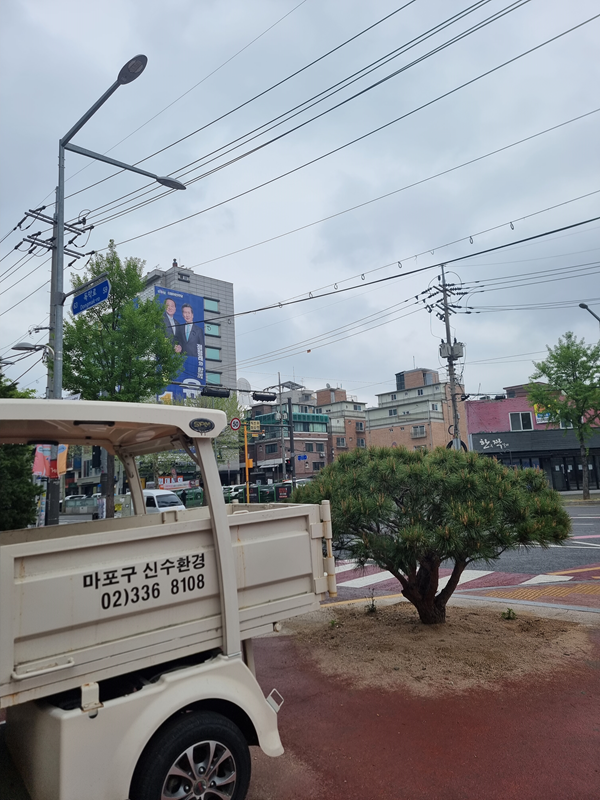 레드로드 상수동 시작점엔 양쪽에 아스팔트를 걷어내고 소나무를 심었다 레드로드의 빨간 페인트가 녹아져 저 흙에 흡수된다면 소나무는 자랄 수 있을까
