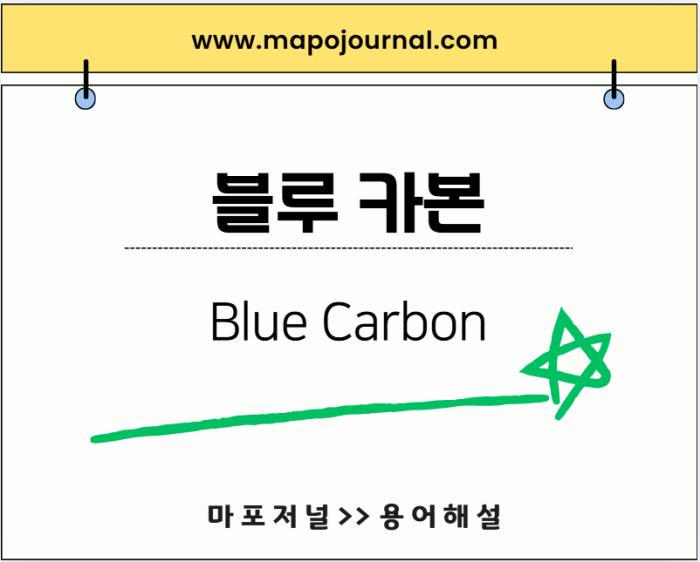 블루 카본(Blue Carbon)
