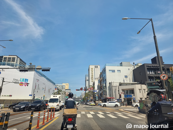 17년 전 중구가 먼저 심은 소나무, 마포는 무엇을 배워야 하나