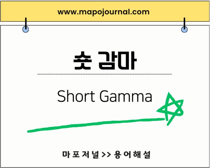 숏 감마(Short Gamma)