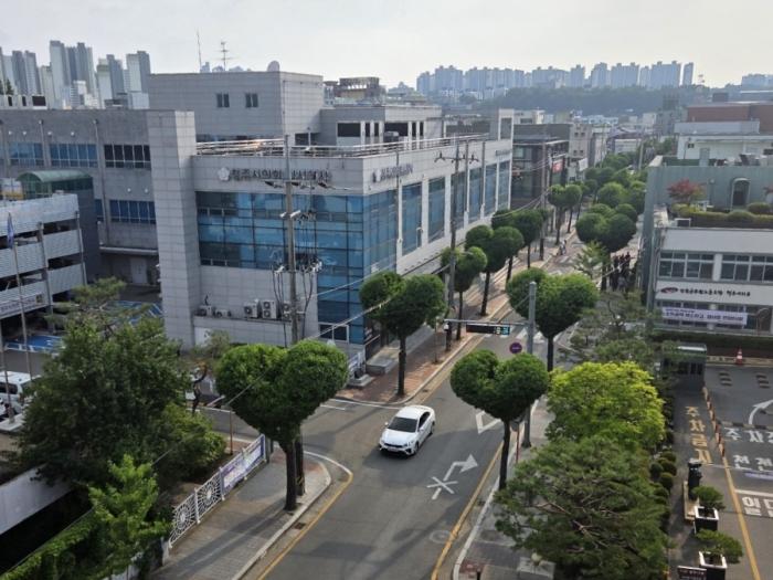 하트·원형으로 변한 가로수…산림청은 ‘우수사례’로 선정