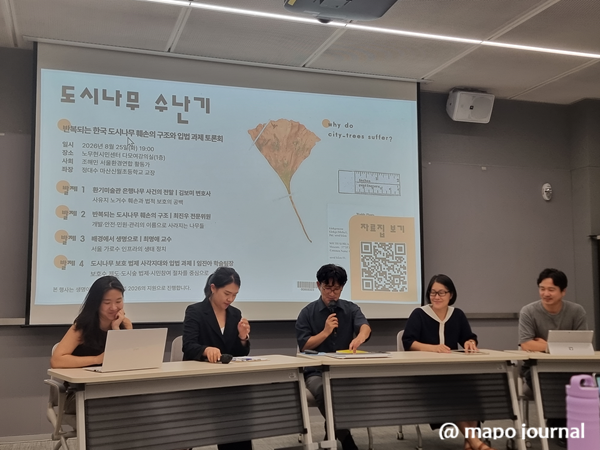 도시나무는 왜 자꾸 사라지나…“보호 대상 넘어 ‘함께 사는 이웃’으로”