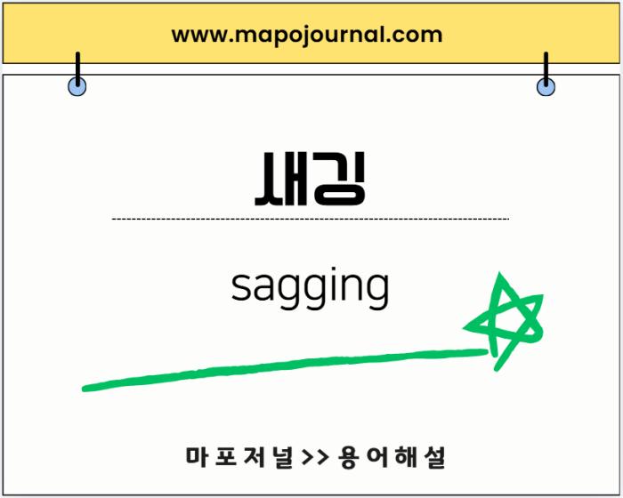 새깅(sagging)