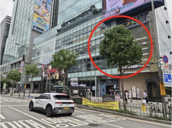 '가로수 패션거리'로 마포가 더 힙해진다
